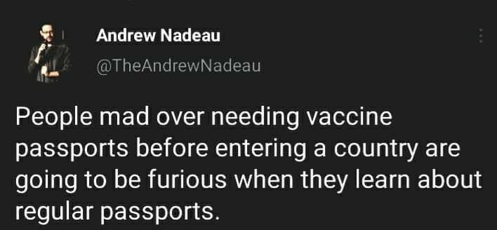 e Andrew Nadeau 4L QU IEVNELEE People mad over needing vaccine passports before entering a country are going to be furious when they learn about regular passports