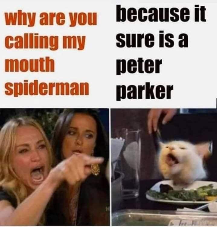 whyareyou because it callingmy sureisa