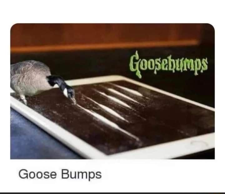 Goose Bumps