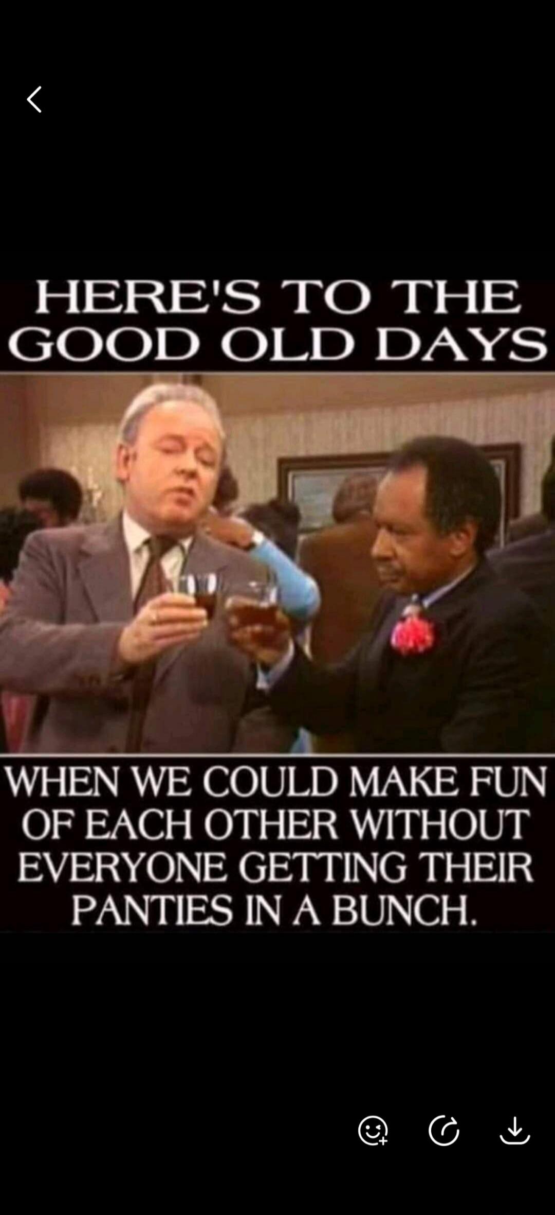 HERE'S TO THE GOOD OLD DAYS WHEN WE COULD MAKE FUN OF EACH OTHER WITHOUT EVERYONE GETTING THEIR PANTIES IN A BUNCH.