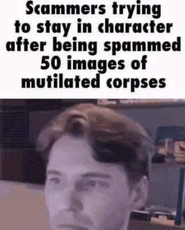 Scammers trying to stay in character after being spammed 50 images of