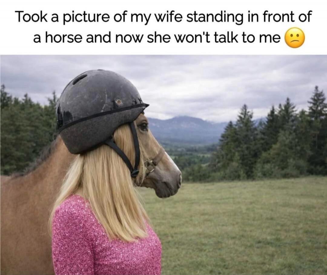 Took a picture of my wife standing in front of a horse and now she won't talk to me 😔
