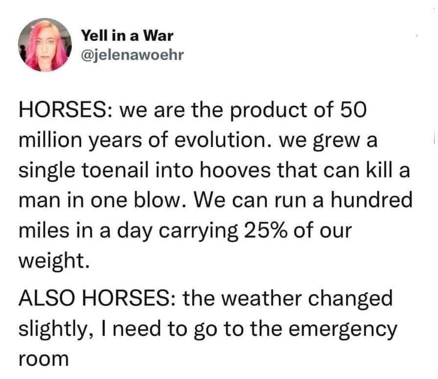 6 Yell in a War e jelenawoehr HORSES we are the product of 50 million years of evolution we grew a single toenail into hooves that can kill a man in one blow We can run a hundred miles in a day carrying 25 of our weight ALSO HORSES the weather changed slightly need to go to the emergency room