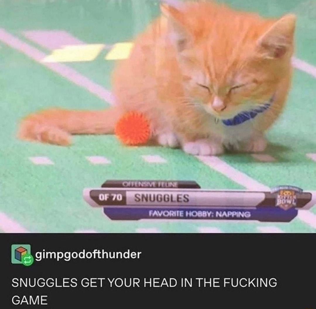 gimpgodofthunder SNUGGLES GET YOUR HEAD IN THE FUCKING GAME
