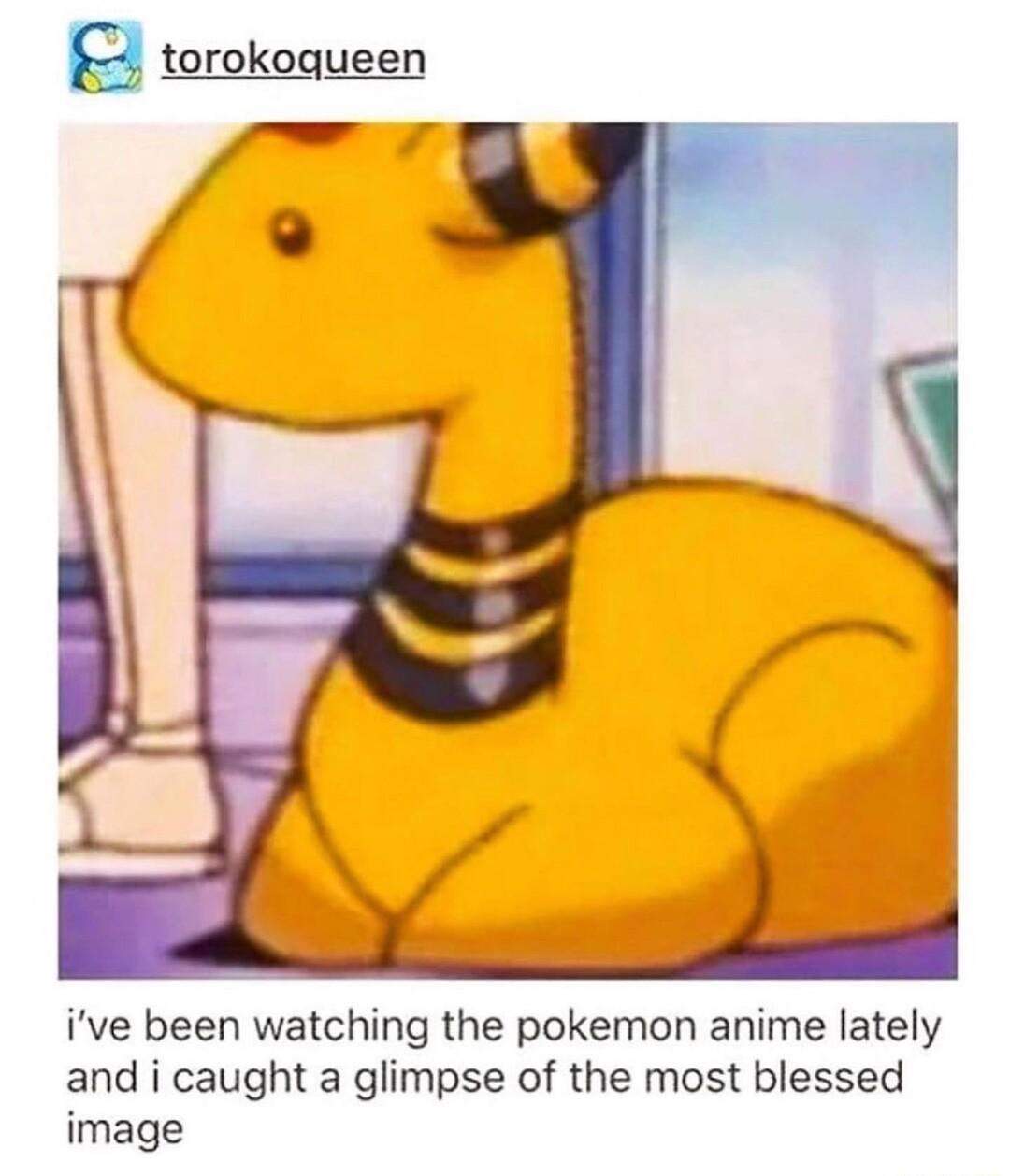 g torokoqueen ive been watching the pokemon anime lately and i caught a glimpse of the most blessed image