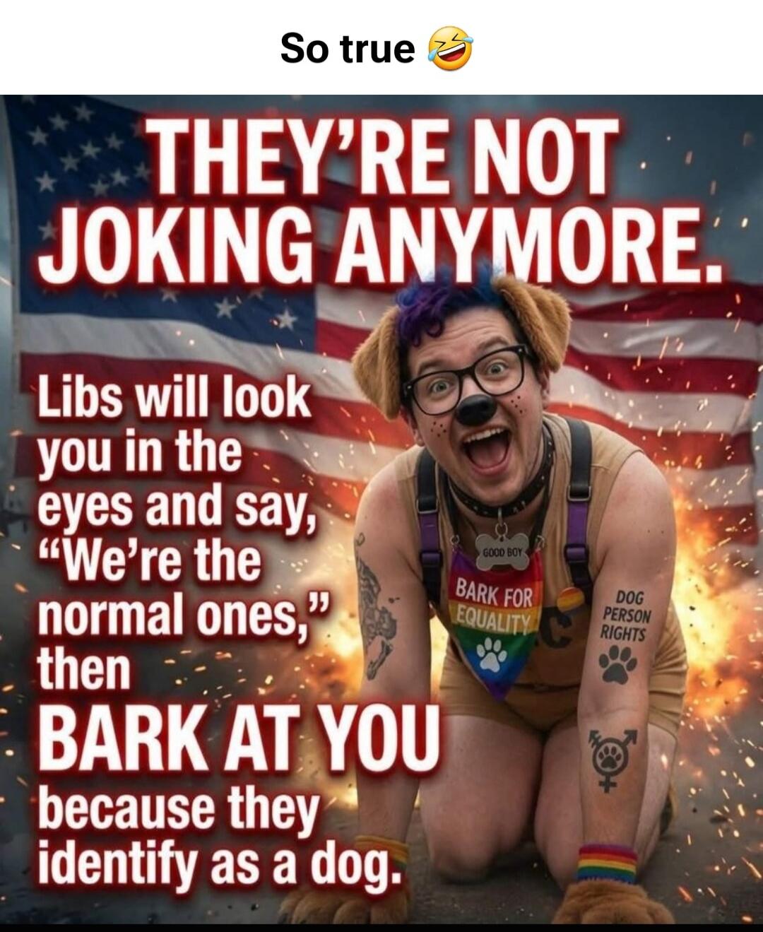 So true 😂 THEY'RE NOT JOKING ANYMORE. Libs will look you in the eyes and say, 