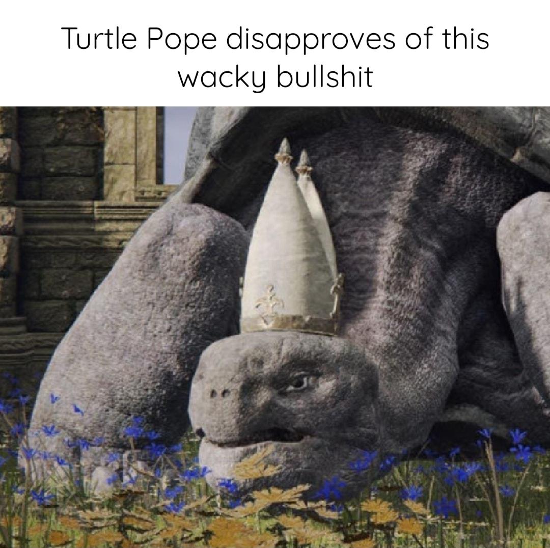 Turtle Pope disapproves of this wacky bullshit i 4