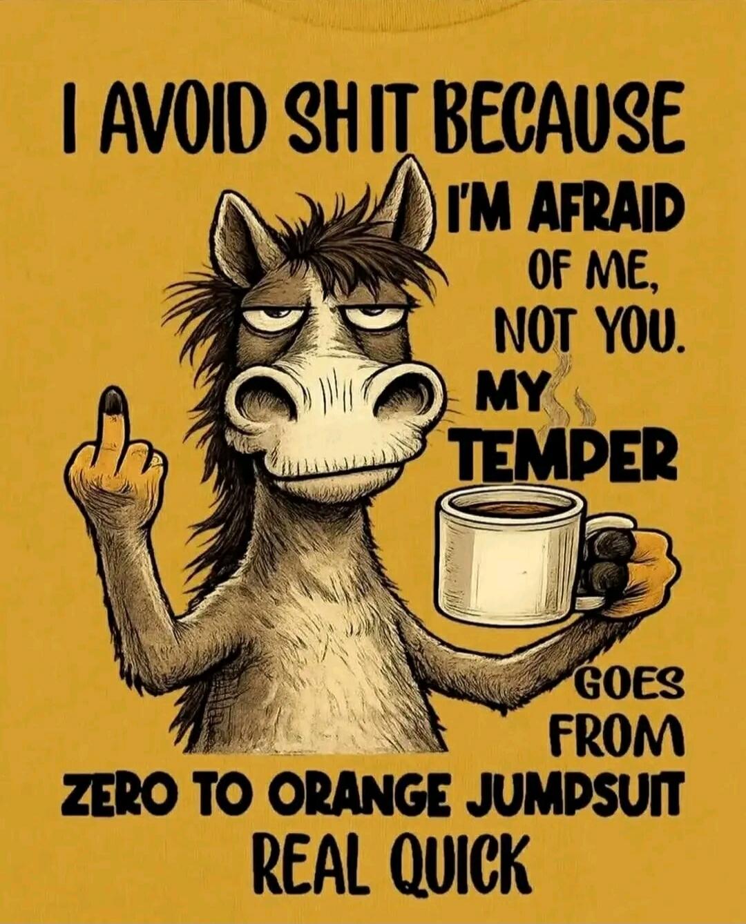 I avoid shit because I'm afraid of me, not you. My temper goes from zero to orange jumpsuit real quick. (Image shows a donkey giving the middle finger and holding a coffee mug).