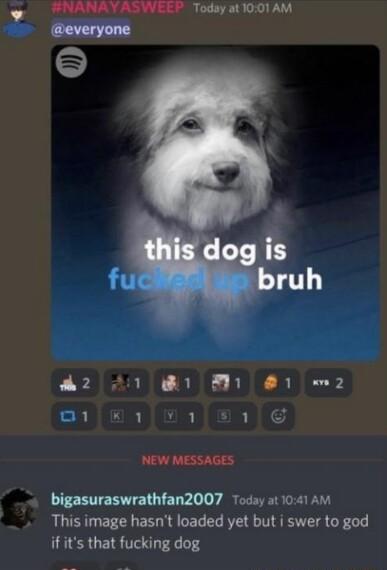 Today at1001 AM bigasuraswrathfan2007 Today at 1041 Am This image hasnt loaded yet but i swer to god ifits that fucking dog