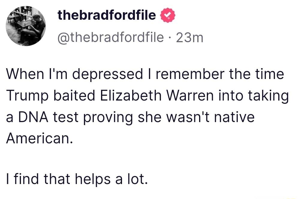thebradfordfile thebradfordfile 23m When Im depressed remember the time Trump baited Elizabeth Warren into taking a DNA test proving she wasnt native American I find that helps a lot