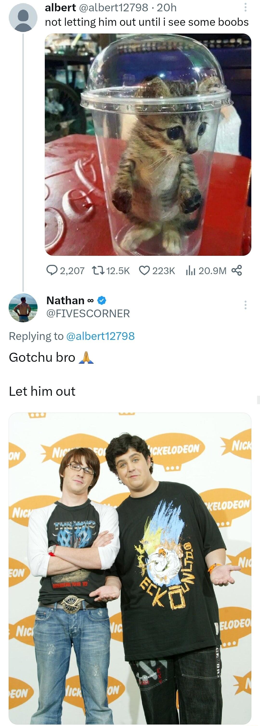 albert albert12798 20h e not letting him out until i see some boobs 2207 125K Q223K 11 209M Nathan FIVESCORNER Replying to albert12798 Gotchu bro A Let him out