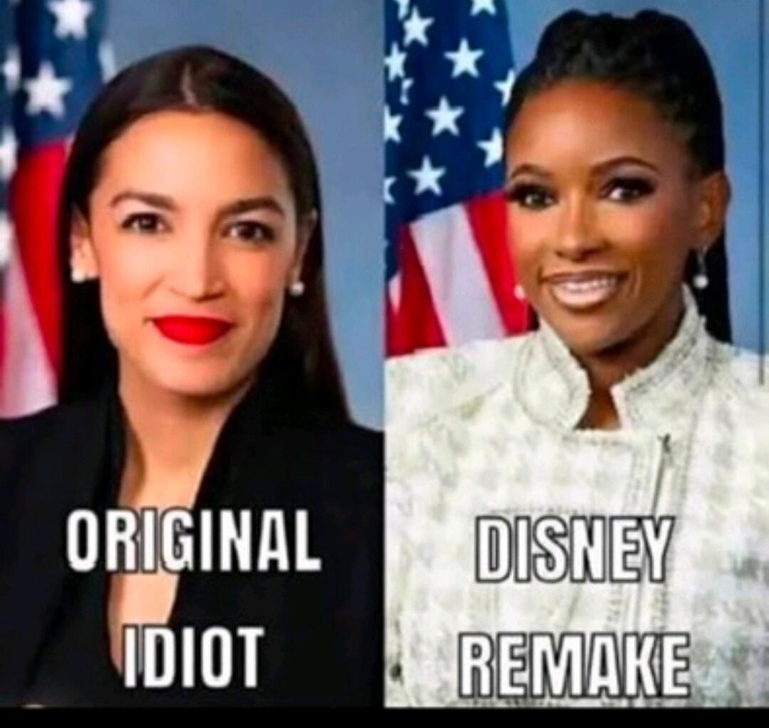 ORIGINAL IDIOT DISNEY REMAKE
