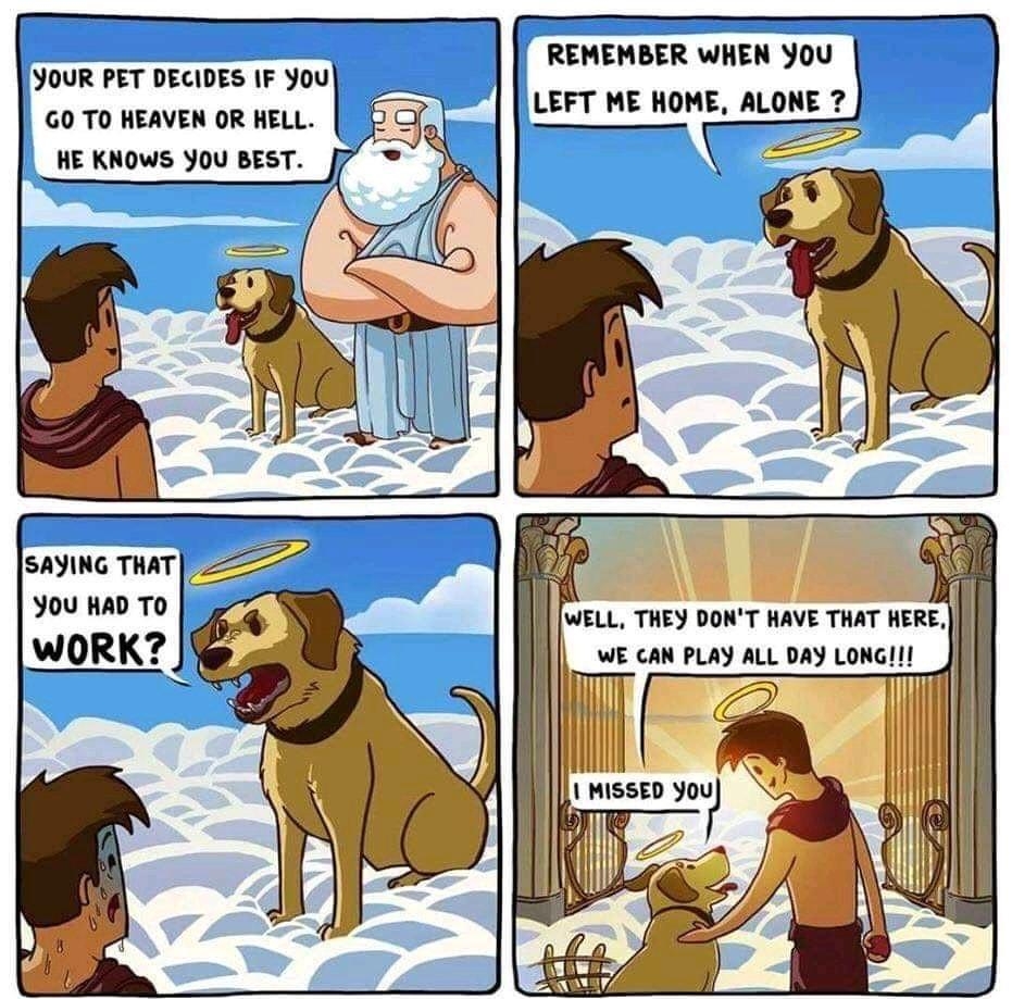 REMEMBER WHEN Y0U YOUR PET DECIDES IF You GO TO HEAVEN 3 LLEFT ME HOME ALONE 4 ws can puay au ony Loncr GOOFYGODSCOMICS