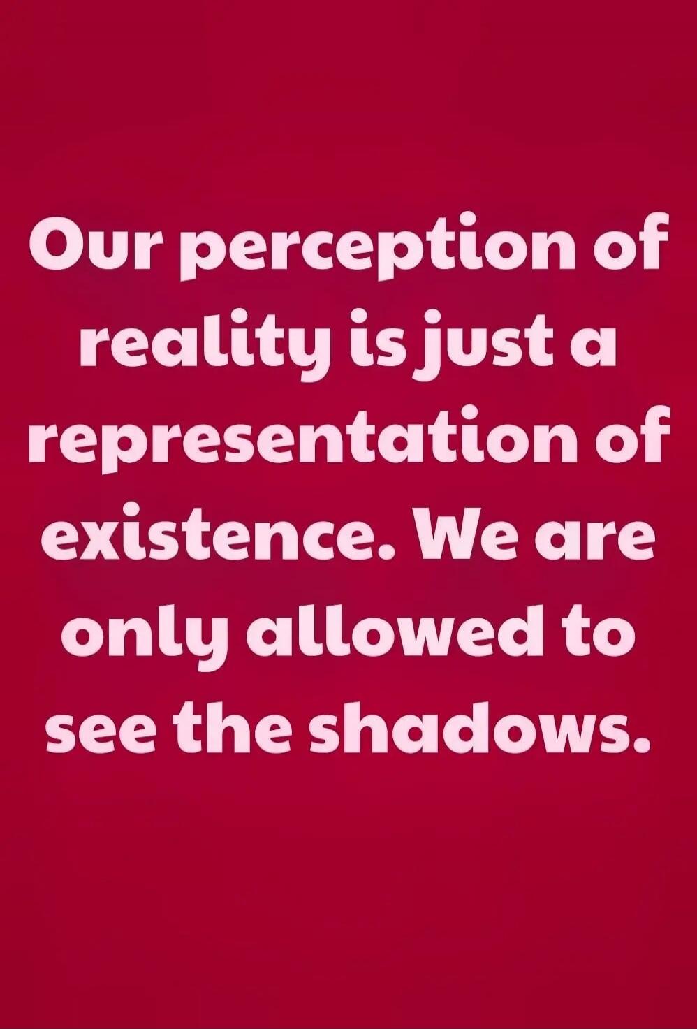 Our perception of reality is just a representation of existence. We are only allowed to see the shadows.