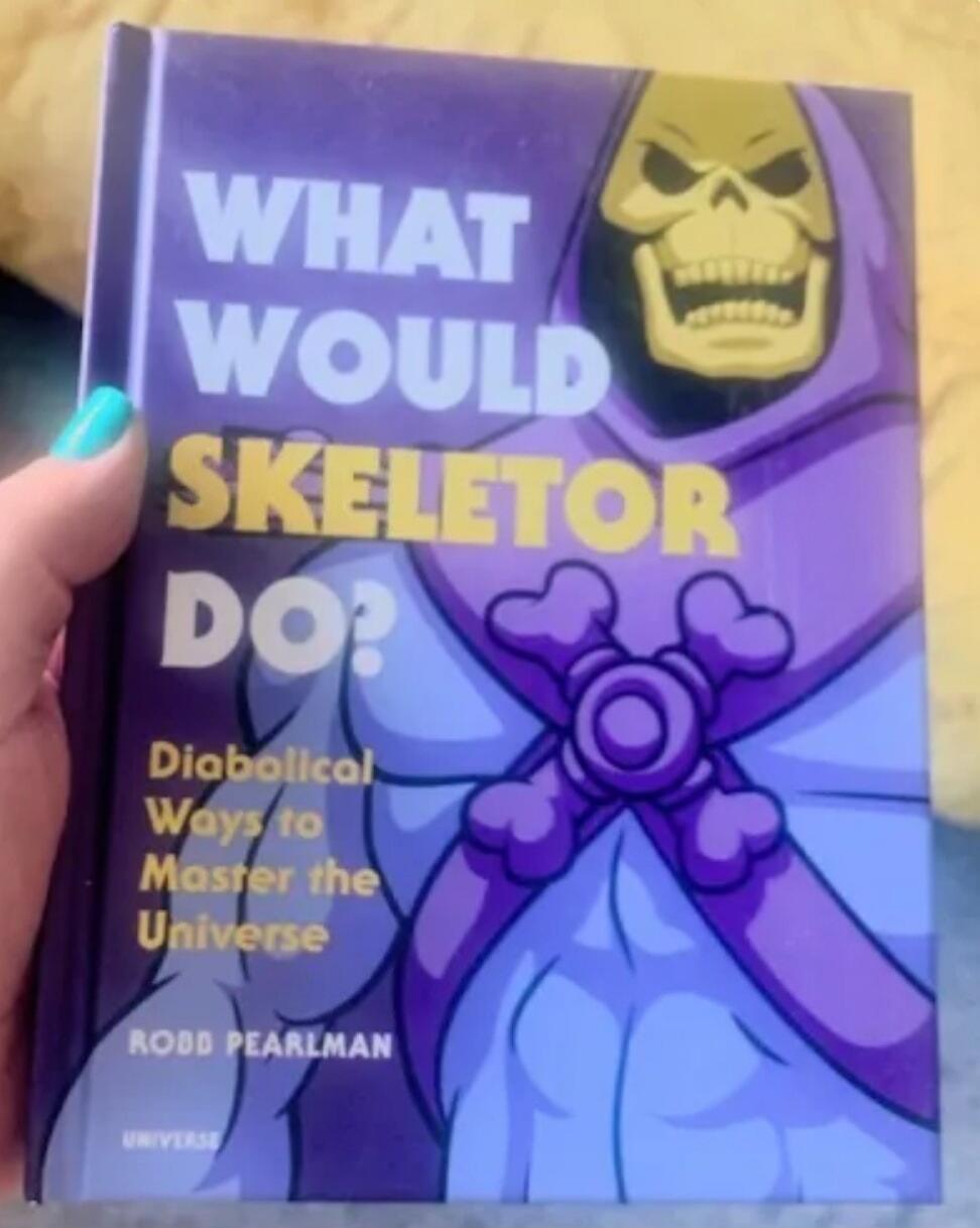 WHAT WOULD SKELETOR DO? Diabolical Ways to Master the Universe ROBB PEARLMAN UNIVERSE
