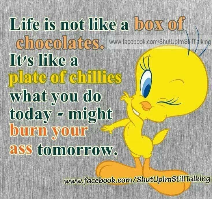 Life is not like a box of chocolates. It's like a plate of chillies what you do today - might burn your ass tomorrow. www.facebook.com/ShutUpImStillTalking
