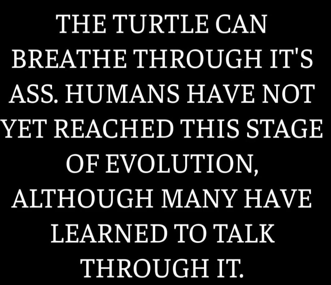 THE TURTLE CAN BREATHE THROUGH IT'S ASS. HUMANS HAVE NOT YET REACHED THIS STAGE OF EVOLUTION, ALTHOUGH MANY HAVE LEARNED TO TALK THROUGH IT.
