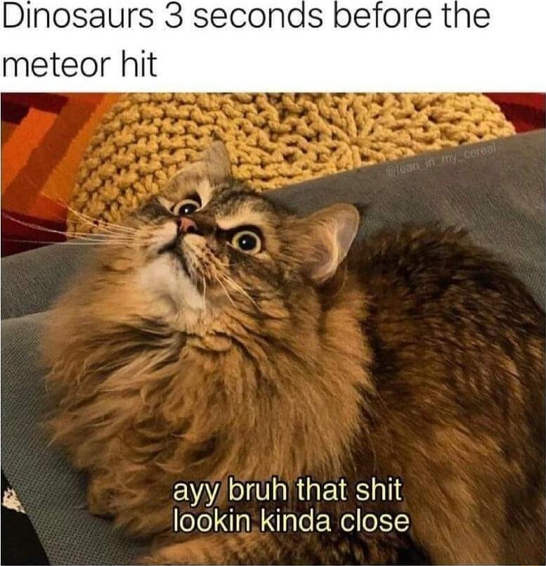 Dinosaurs 3 seconds before the meteor hit a ayy bruh that shit i lookin kinda close