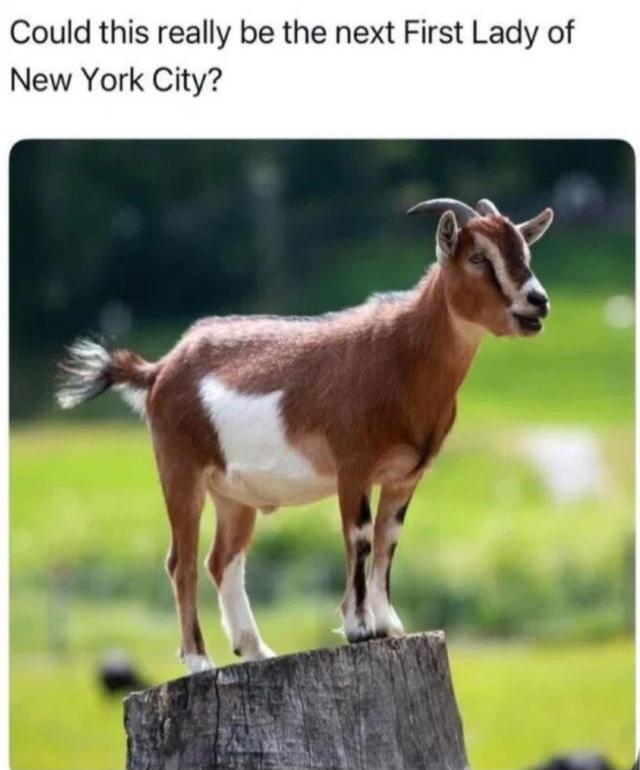 Could this really be the next First Lady of New York City?