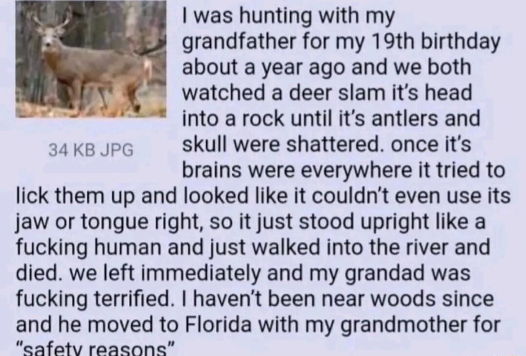was hunting with my grandfather for my 19th birthday about a year ago and we both watched a deer slam its head into a rock until its antlers and 34 KB JPG skull were shattered once its brains were everywhere it tried to lick them up and looked like it couldnt even use its Jjaw or tongue right so it just stood upright like a fucking human and just walked into the river and died we left immediately 