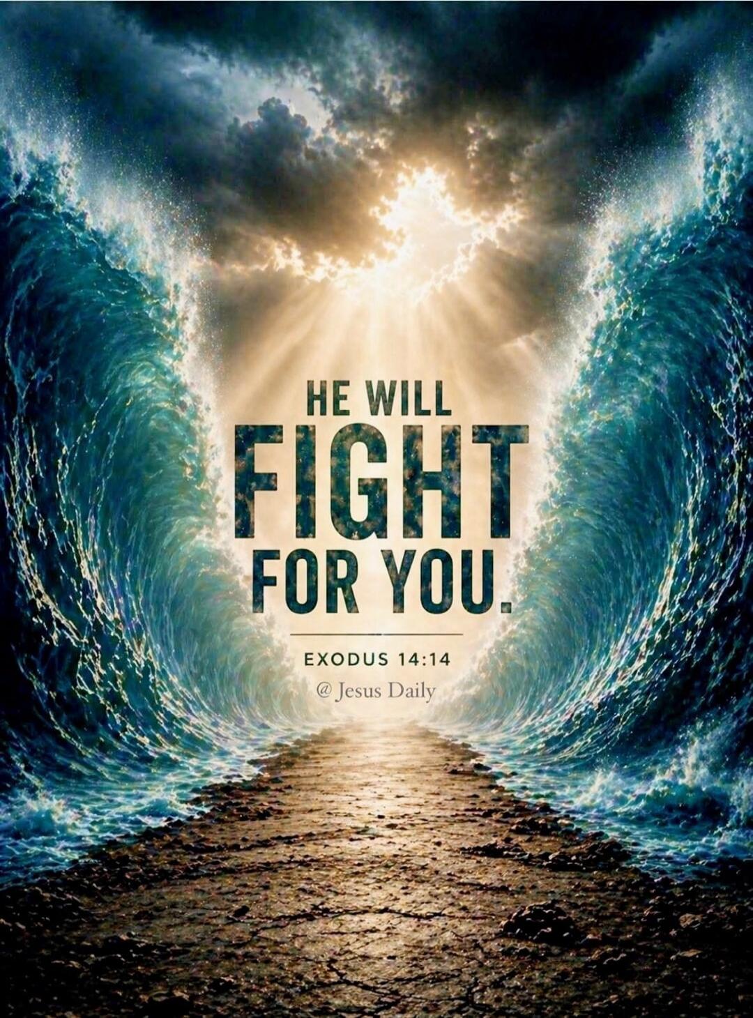 HE WILL FIGHT FOR YOU. EXODUS 14:14 @ Jesus Daily