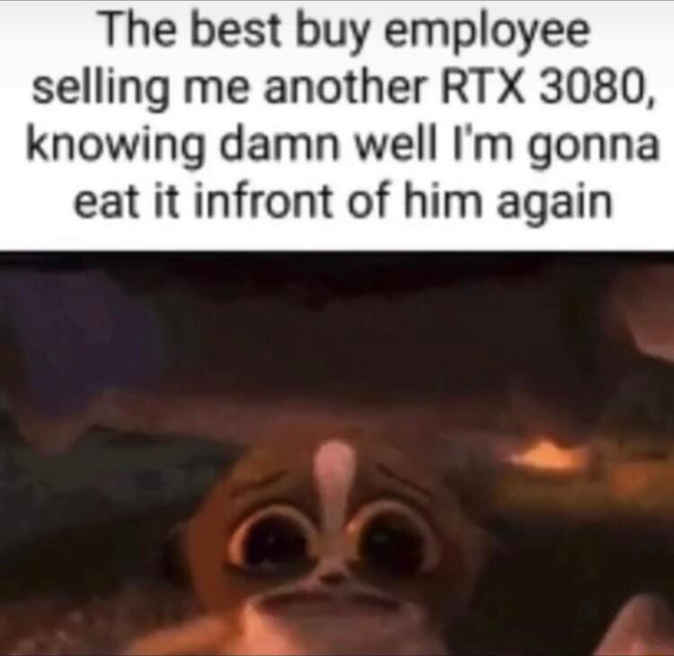 The best buy employee selling me another RTX 3080 knowing damn well Im gonna eat it infront of him again