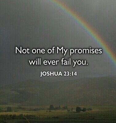 Not one of My promises will ever fail you. JOSHUA 23:14