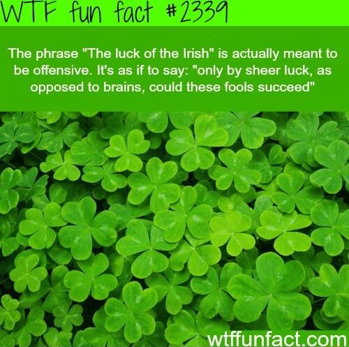 WTF fun fact 7559 The phrase The luck of the Irish is actually meant to be offensive Is as if to say only by sheer luck as opposed to brains could these fools succeed