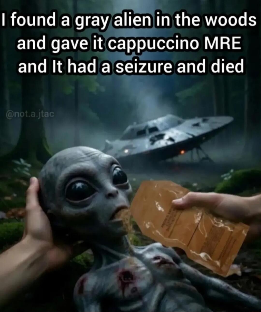 I found a gray alien in the woods and gave it cappuccino MRE and It had a seizure and died
