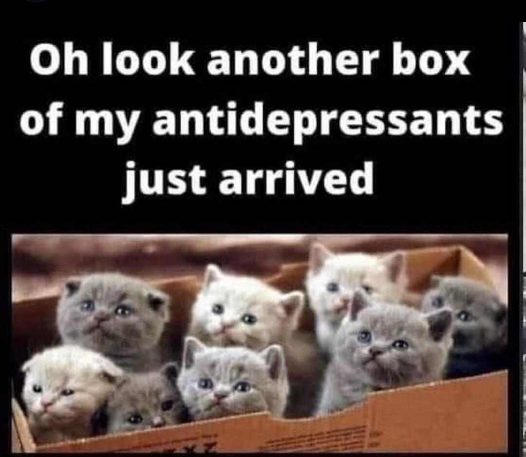 Oh look another box of my antidepressants just arrived