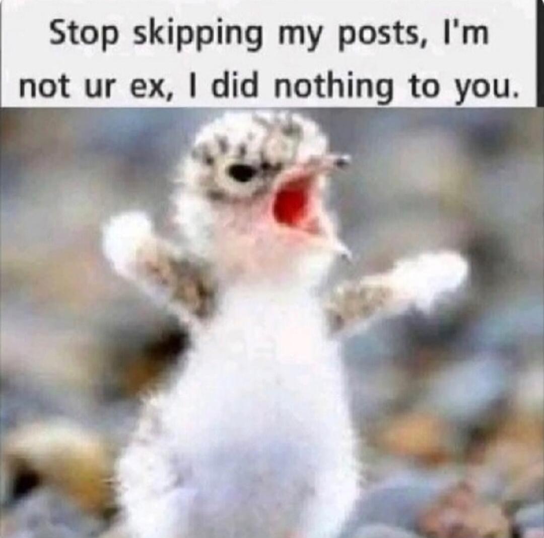 Stop skipping my posts, I'm not ur ex, I did nothing to you.