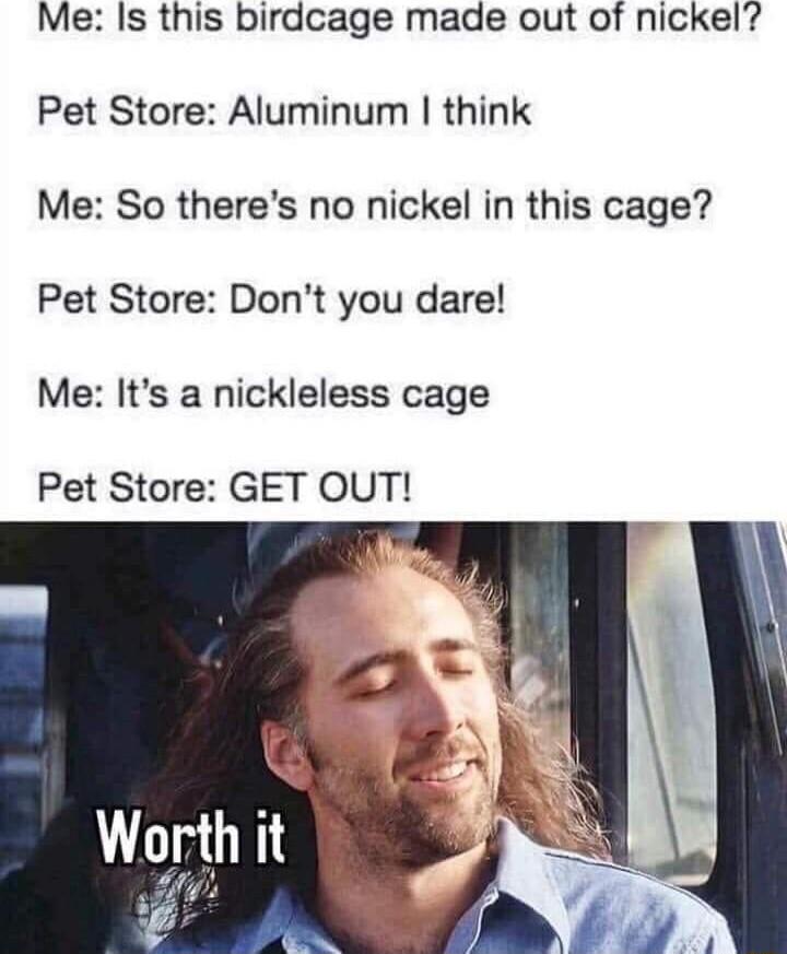 Me Is this birdcage made out of nickel Pet Store Aluminum think Me So theres no nickel in this cage Pet Store Dont you dare Me Its a nickleless cage Pet Store GET OUT