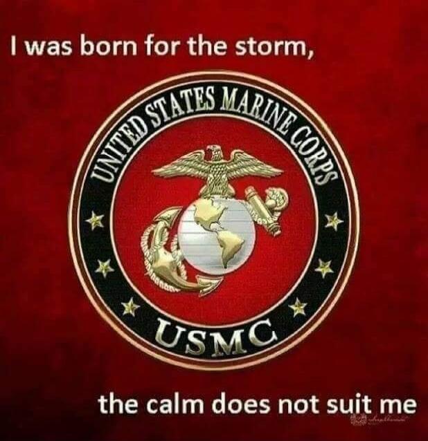 I was born for the storm, the calm does not suit me