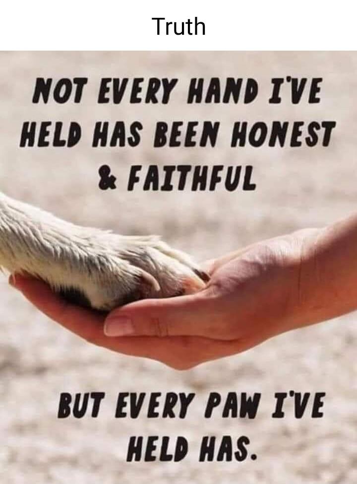 Truth NOT EVERY HAND IVE HELD HAS BEEN HONEST FAITHFUL BUT EVERY PAN IVE HELD HAS