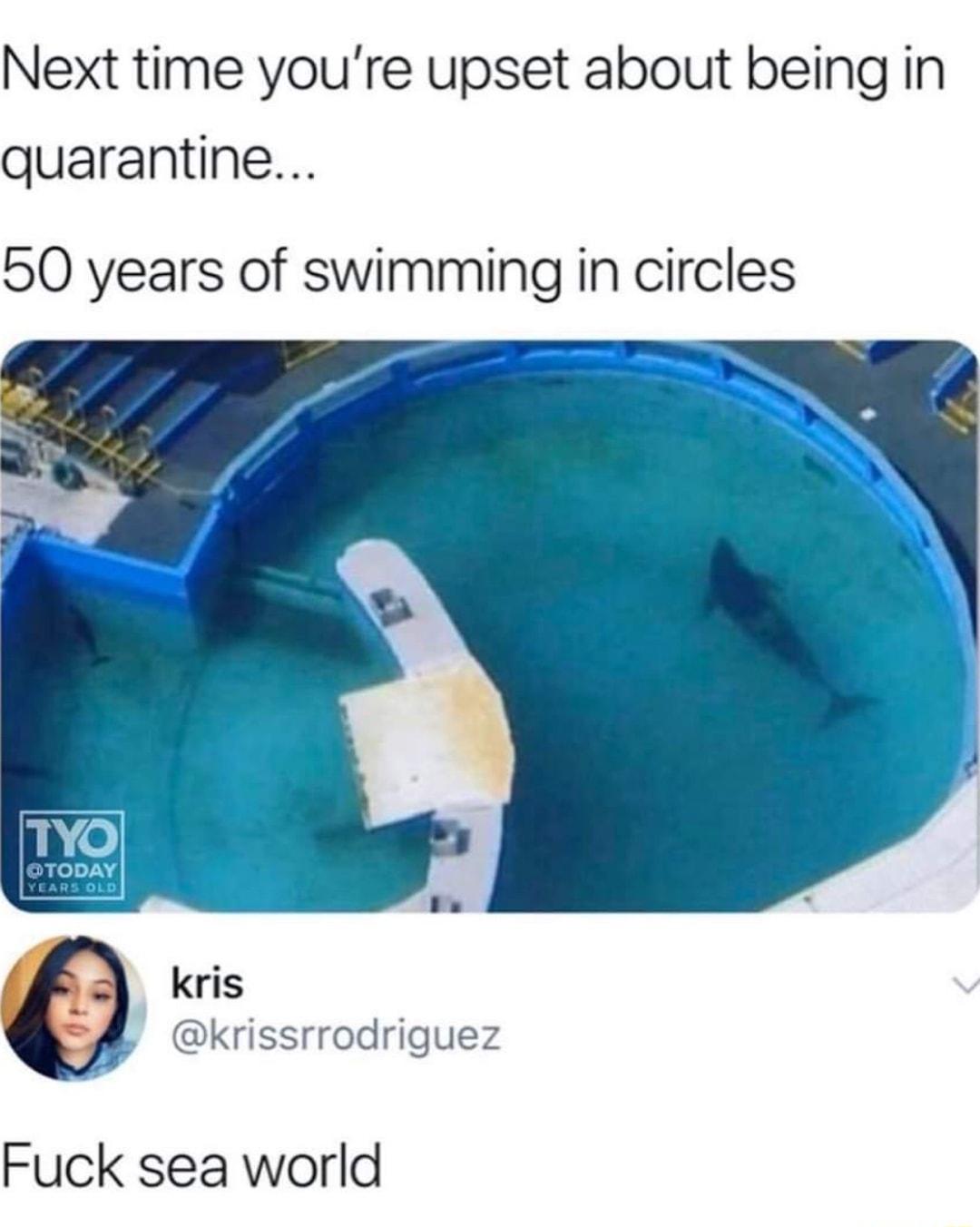 Next time youre upset about being in quarantine 50 years of swimming in circles kris y krissrrodriguez Fuck sea world