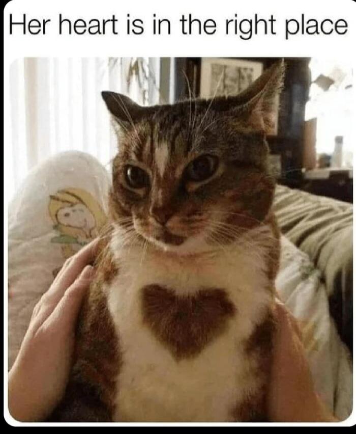 Her heart is in the right place