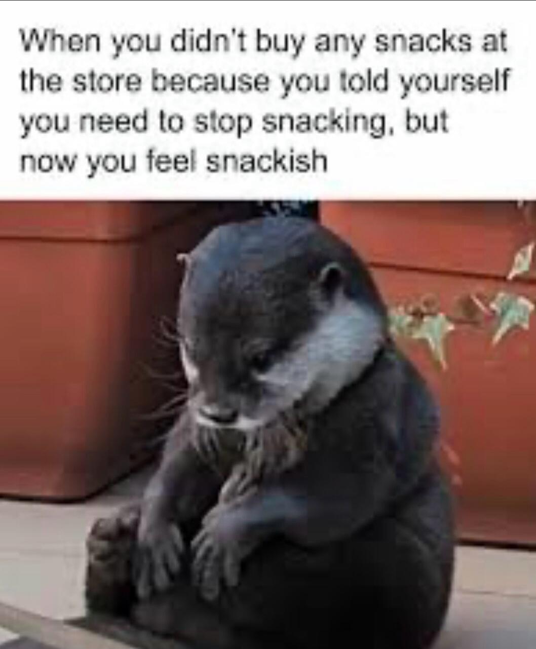 When you didn't buy any snacks at the store because you told yourself you need to stop snacking, but now you feel snackish