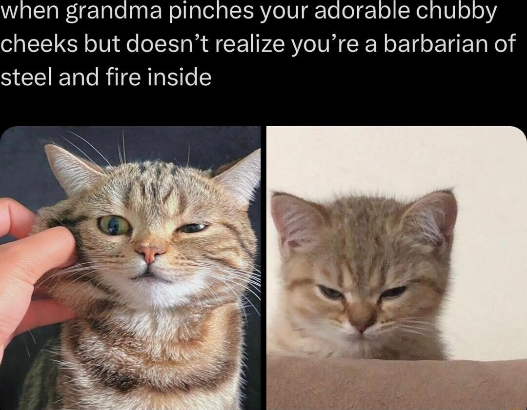 when grandma pinches your adorable chubby cheeks but doesnt realize youre a barbarian of steel and fire inside