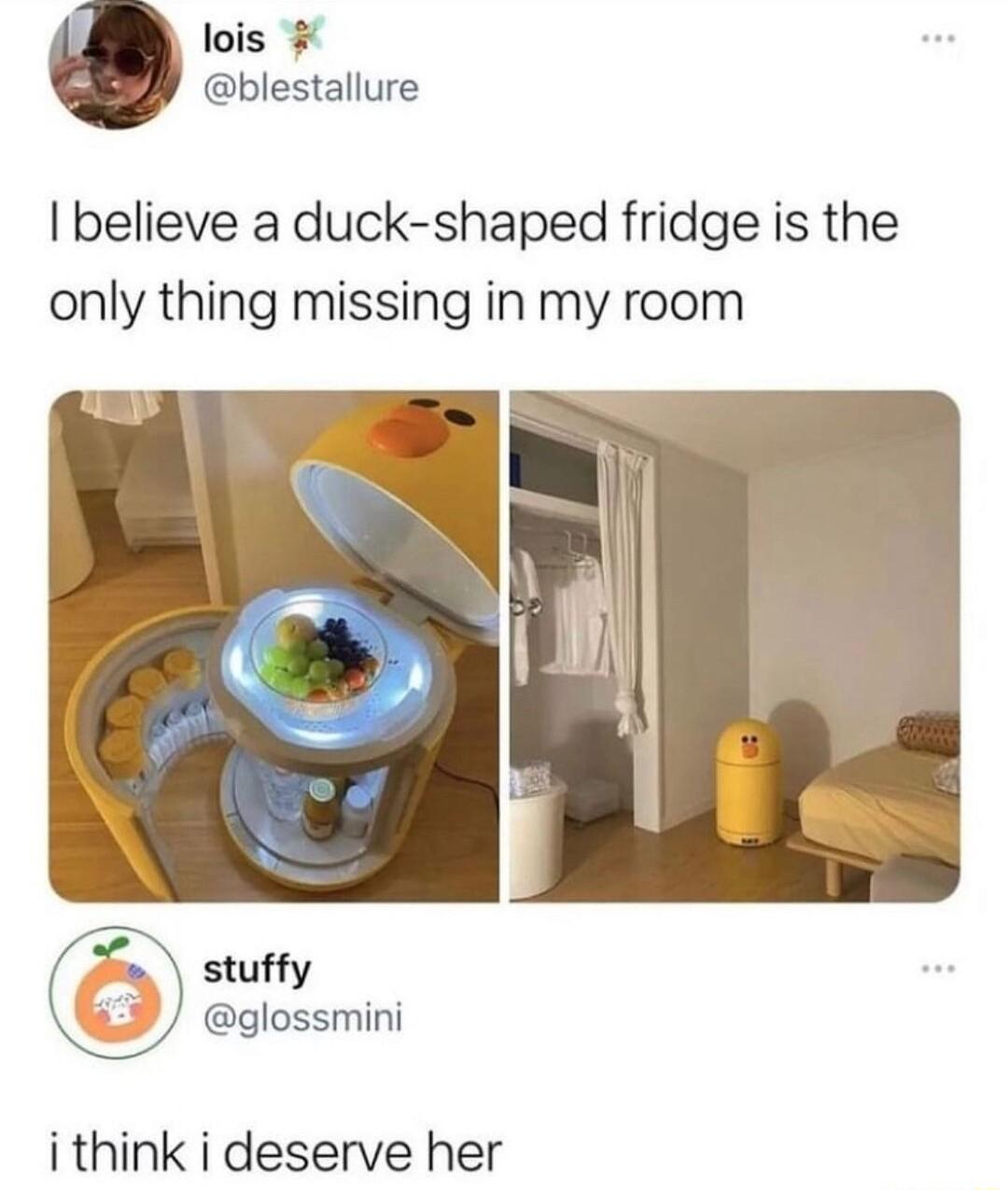 lois blestallure believe a duck shaped fridge is the only thing missing in my room stuffy F eglossmini i think i deserve her