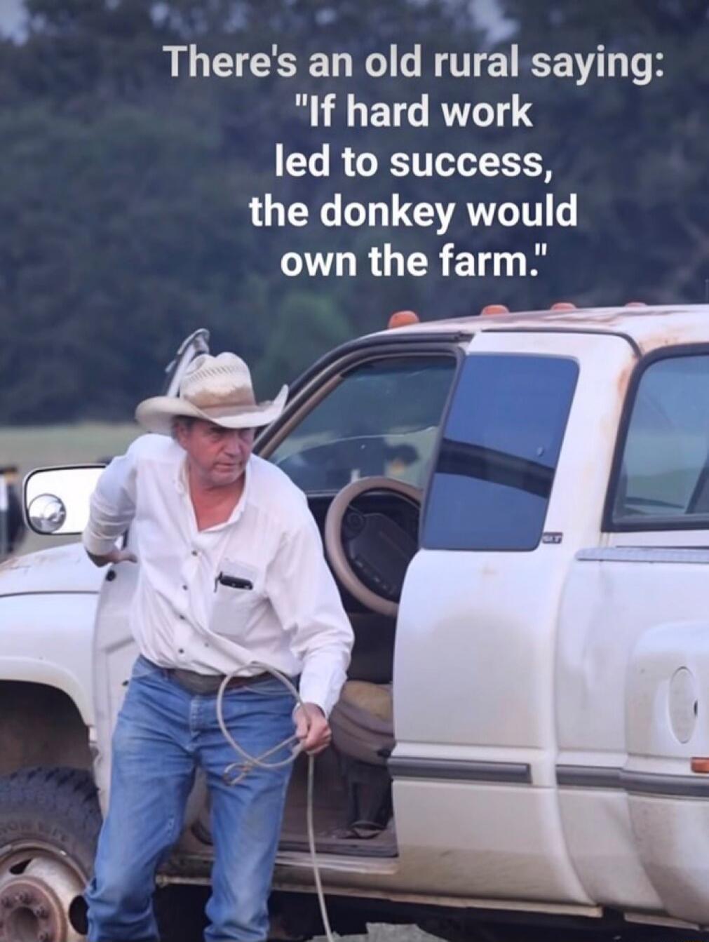 There's an old rural saying: 'If hard work led to success, the donkey would own the farm.'