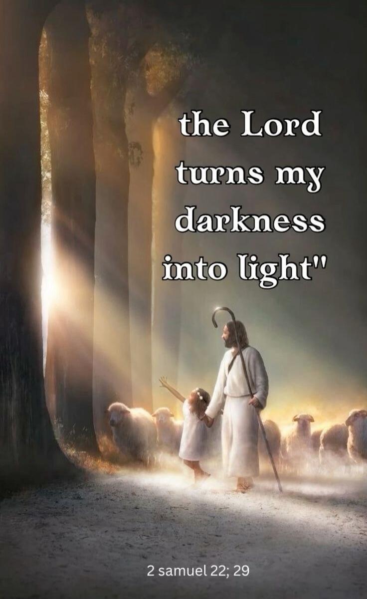 the Lord turns my darkness into light
2 Samuel 22:29