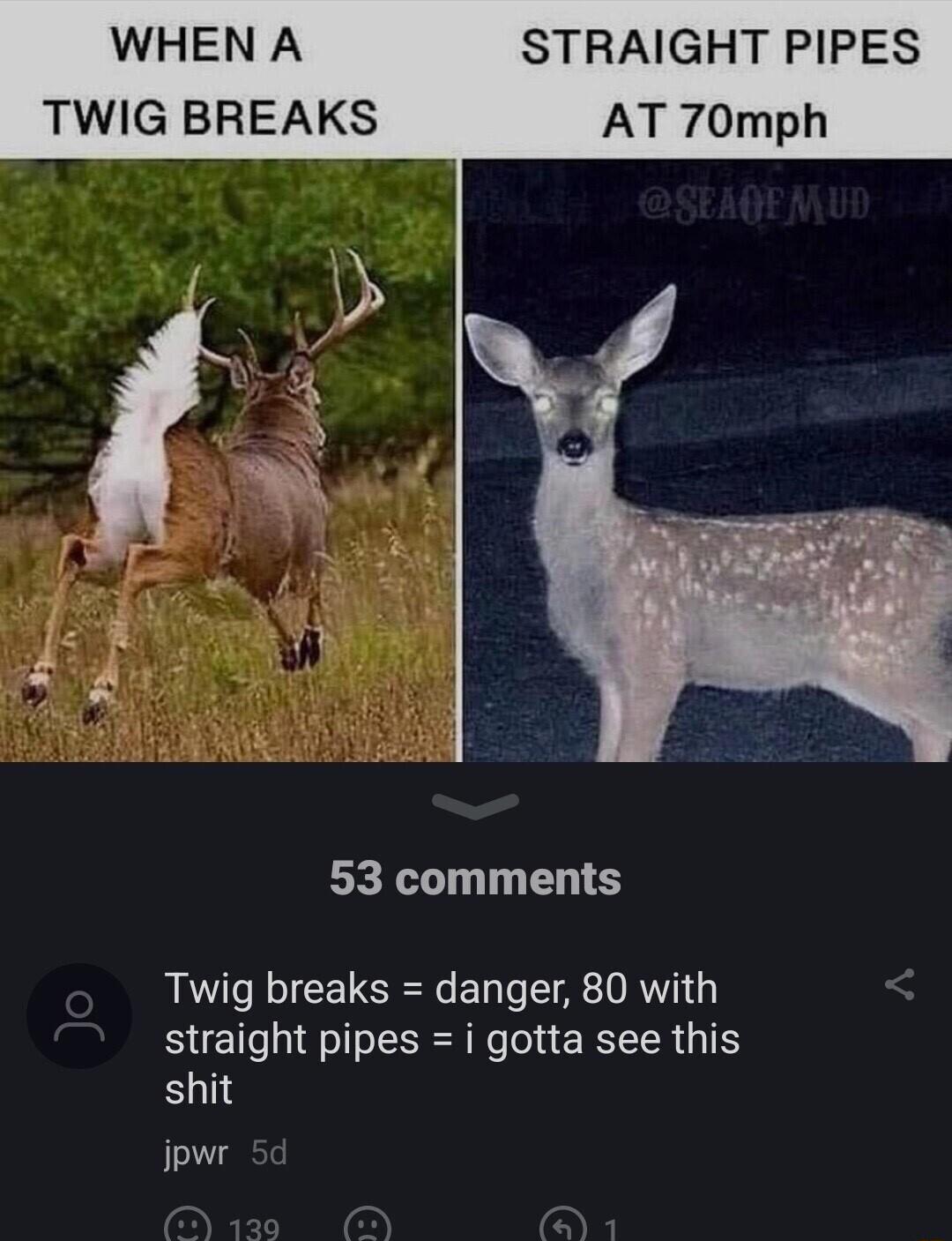 WHEN A STRAIGHT PIPES TWIG BREAKS AT 70mph N 53 comments Twig breaks danger 80 with straight pipes i gotta see this shit ipwr