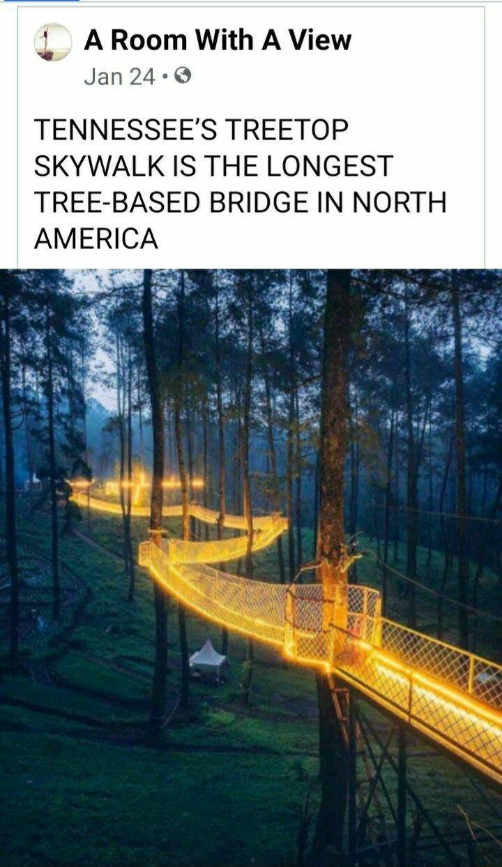 L ARoom With A View Jan24 Q TENNESSEES TREETOP SKYWALK IS THE LONGEST TREE BASED BRIDGE IN NORTH AMERICA