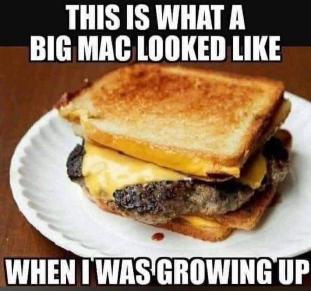 THIS IS WHAT A BIG MAC LOOKED LIKE WHEN I WAS GROWING UP