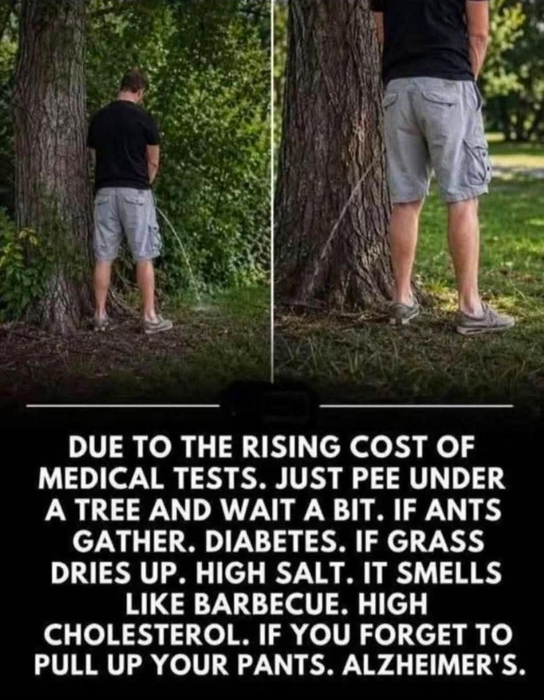 DUE TO THE RISING COST OF MEDICAL TESTS. JUST PEE UNDER A TREE AND WAIT A BIT. IF ANTS GATHER. DIABETES. IF GRASS DRIES UP. HIGH SALT. IT SMELLS LIKE BARBECUE. HIGH CHOLESTEROL. IF YOU FORGET TO PULL UP YOUR PANTS. ALZHEIMER'S.