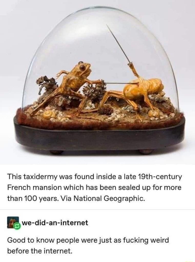 This taxidermy was found inside a late 19th century French mansion which has been sealed up for more than 100 years Via National Geographic B we did an interet Good to know people were just as fucking weird before the internet
