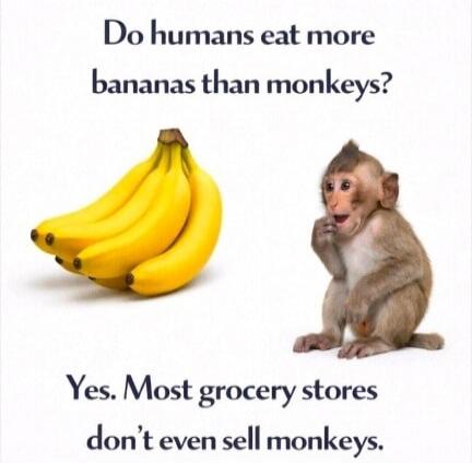 Do humans eat more bananas than monkeys? Yes. Most grocery stores don't even sell monkeys.