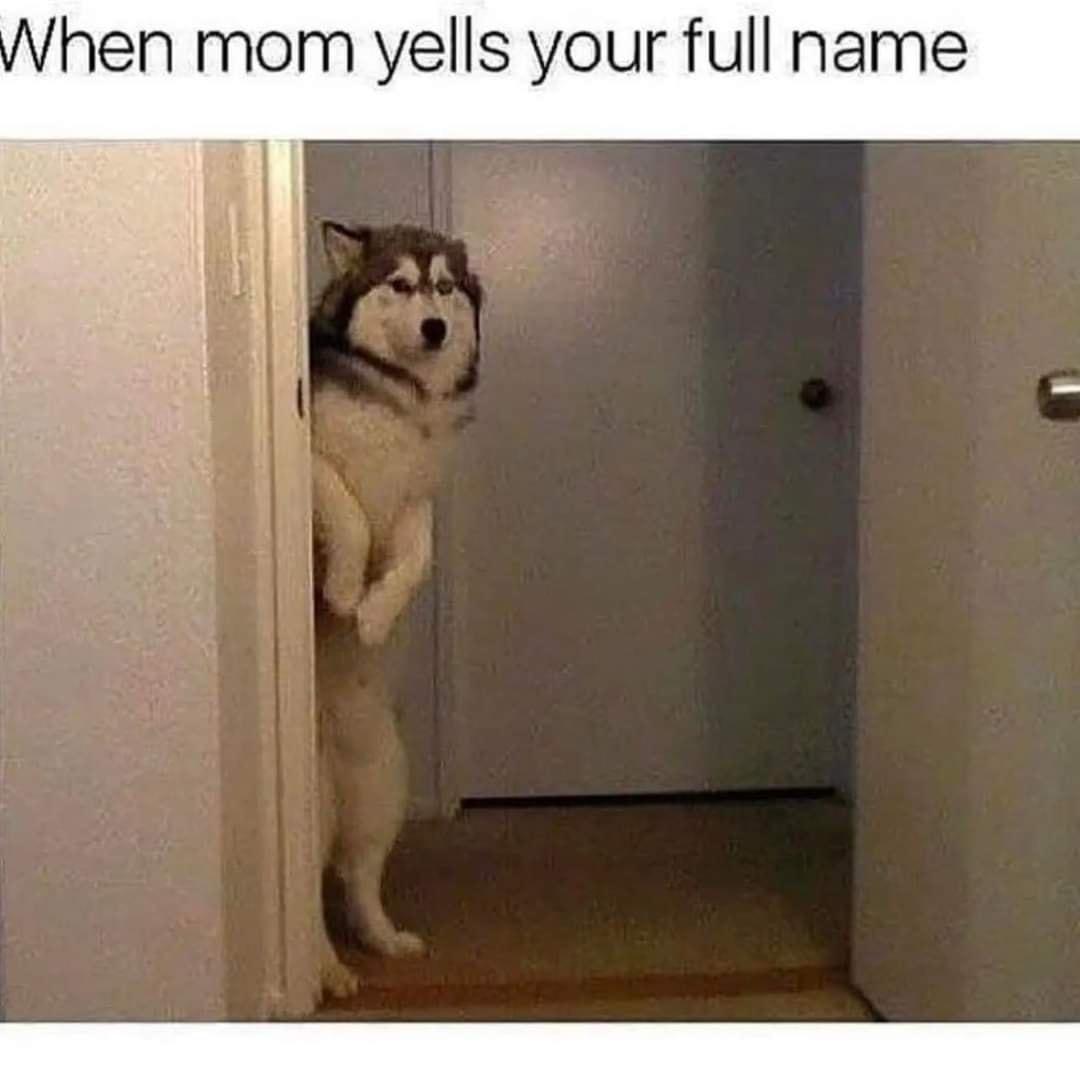 hen mom yells your full name