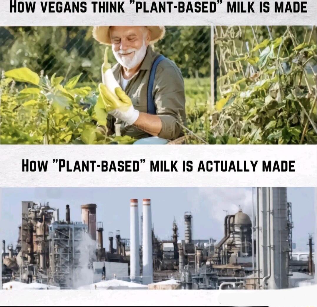 HOW VEGANS THINK PLANT BASED MILK IS MADE