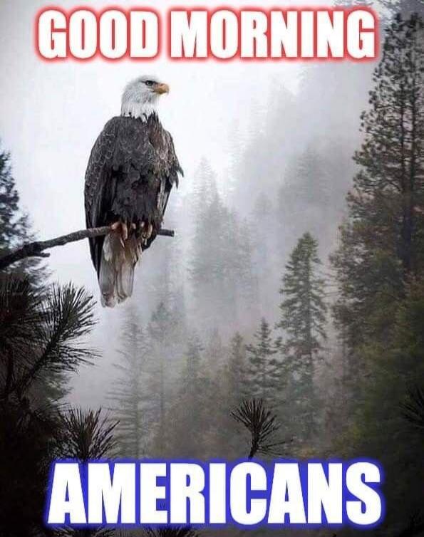 GOOD MORNING AMERICANS